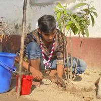 "Grow Trees, Grow Life—Let Nature Thrive!"