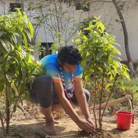 "Green Today, Fresh Tomorrow—Plant Trees, Save Life!"