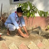 "Grow Trees, Grow Life—Let Nature Thrive!"