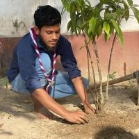 "Plant Trees, Save Earth—Grow Green, Live Clean!"