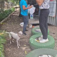Nuestro querido amigo Tito (el cachorro) agradecido de toda la comida que ve.