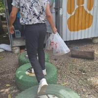 Alimentando a los cachorros