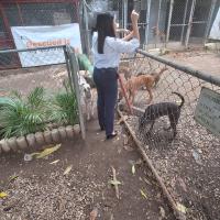 Conociendo a cada uno de los animalitos