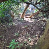 Exploring Our Mini Hiking Path