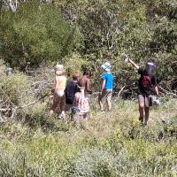 Team Effort: Removing the Invasive Trees