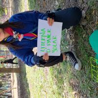 panel solar que transforma la luz solar en electricidad