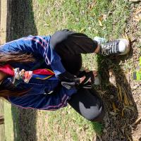el panel solar alimenta un motor de corriente directa