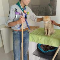 momento de dar cariño 