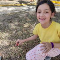 Darzee recolectó tapas de plástico en áreas verdes