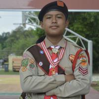 Profile picture for user alviano bp