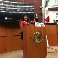 Profile picture for user Sofíaa Cerón Mata_1