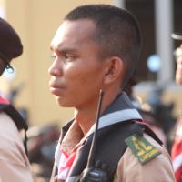 Profile picture for user rosif