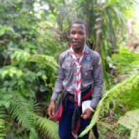 Profile picture for user Jesugnon Théophile_1