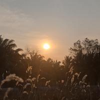 Profile picture for user zaskia jocelina 