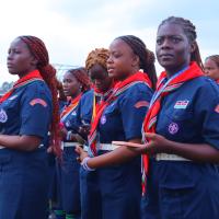 Profile picture for user peacock rover crew 