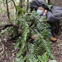 Profile picture for user Junwei Lin_1