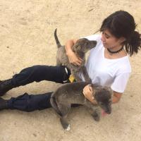 Profile picture for user Gisell Escarlet Montejano López_1