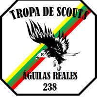 Profile picture for user Tropa Scout Águilas Reales_1