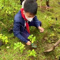 Profile picture for user carljosephorille12@gmail.com