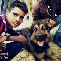 Profile picture for user Rajeev Soni_1