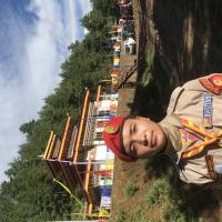 Profile picture for user Scout Wangda_1