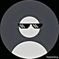 Profile picture for user thewambua