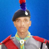 Profile picture for user Collie Scout