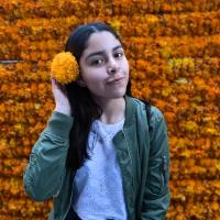 Profile picture for user danna zarate_1