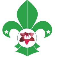 Profile picture for user Aminiya Scouts_1