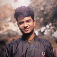 Profile picture for user pallabkantidey_1