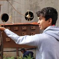 Profile picture for user Joshua Carrasco_1