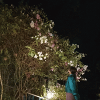 Profile picture for user dee_chen28