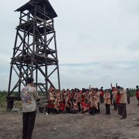 Profile picture for user shareif