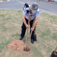 Profile picture for user Ronaldo Tadheu Abibe_1