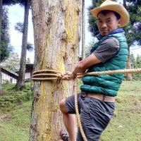 Profile picture for user scoutrewang_1