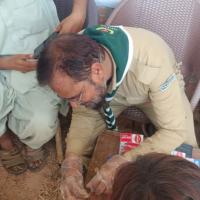 Profile picture for user Syed-Majid-Ali_1