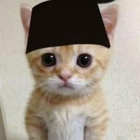 Profile picture for user ervanahmadnurussidiq@gmail.com