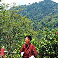 Profile picture for user scout_pema samdrup