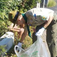 Profile picture for user 天蝎狮_1