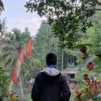 Profile picture for user syafri afriansyah