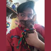 Profile picture for user Parzival_1