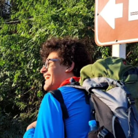 Profile picture for user vitor_traut