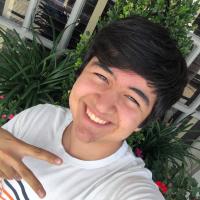 Profile picture for user Arman Tavallaei_1