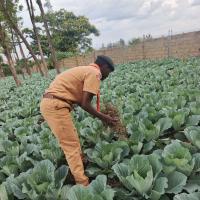 Profile picture for user wahomekevin2003@gmail.com