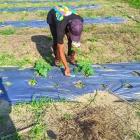 Profile picture for user bintang ade saputra 