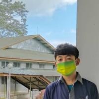 Profile picture for user provin