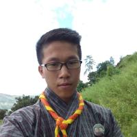 Profile picture for user gyamtshoyangtsepa@gmail.com_1