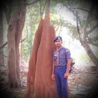 Profile picture for user arun hwb_1