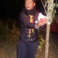 Profile picture for user Sonam Dechheling_1