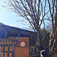 Profile picture for user yangchen wangmo 